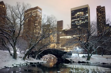Central Park'a nyc kış geceleri