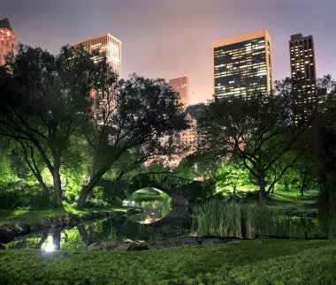 Central Park'a nyc