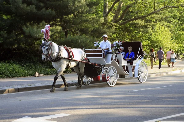Horse carriage Central Park NY — Stock Photo, Image