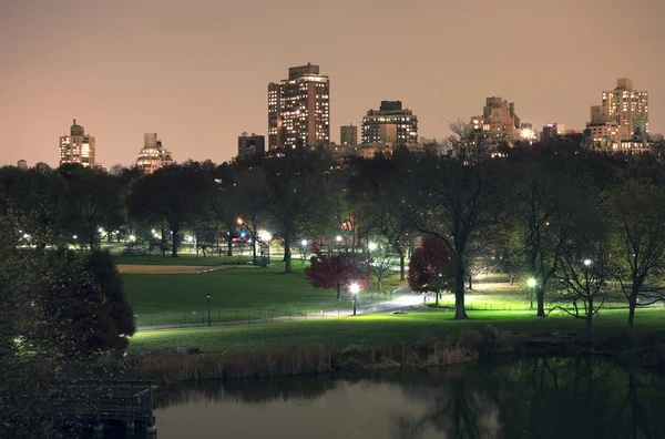 Central Park Nova Iorque — Fotografia de Stock