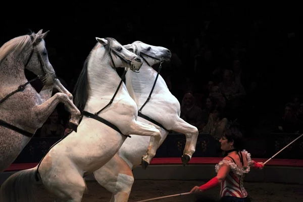 Big Apple Circus — Stock Photo, Image