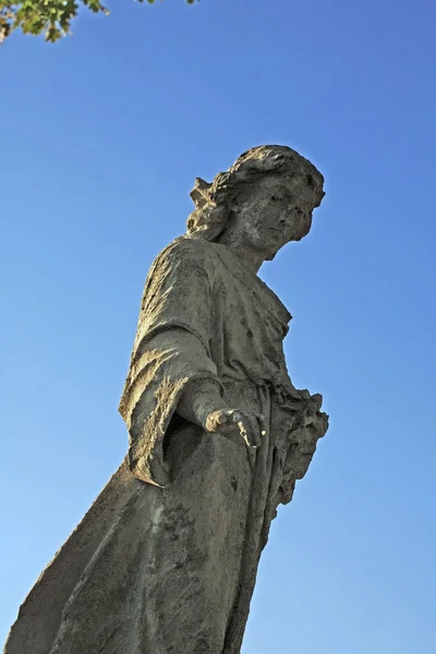 Statue d'ange — Photo