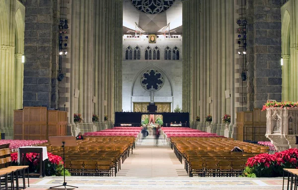 セント ジョン ディバイン大聖堂 — ストック写真