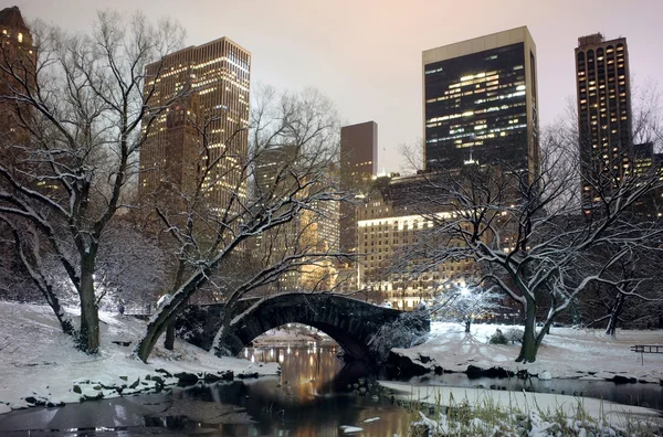 Central Park NYC à noite no inverno — Fotografia de Stock