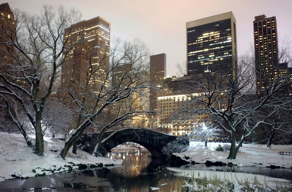 Central Park NYC at night in winter.