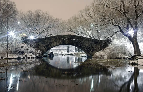 Central Park NYC à noite no inverno — Fotografia de Stock