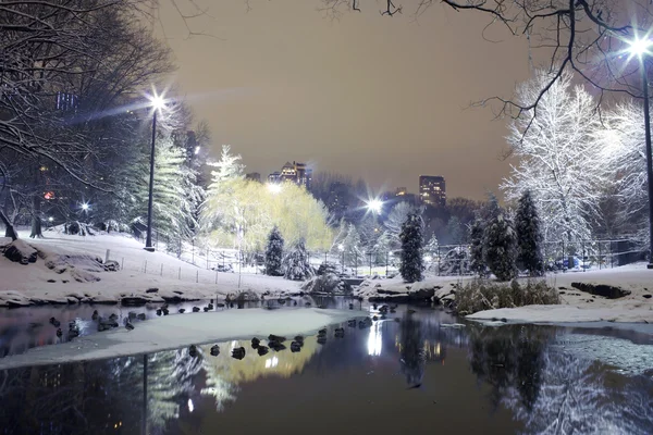 Central Park NYC at night in winter — Stock Photo, Image