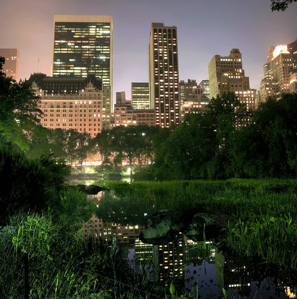 Central Park nyc — Foto Stock