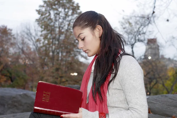 Dívka čtení bible v parku — Stock fotografie