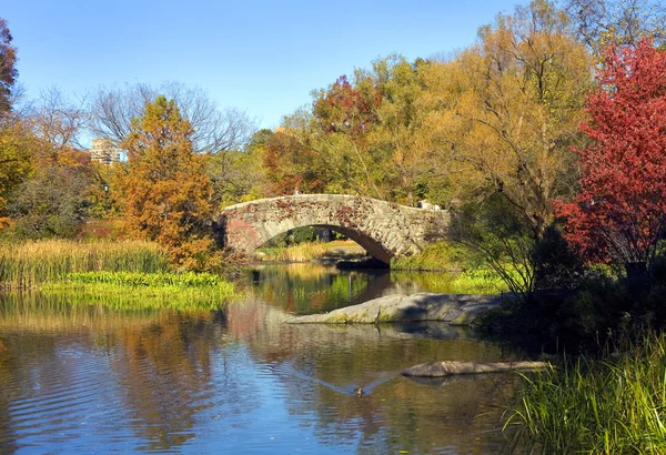 Central Park nyc — Stockfoto