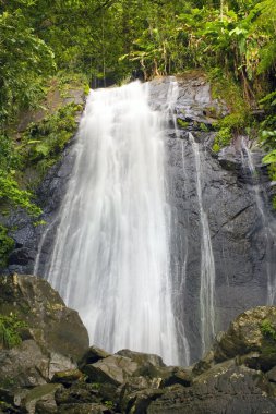 El Yunque La Coca Falls
