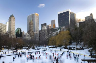 Central Park in winter clipart