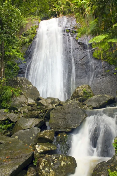 El Yunque La Coca Falls