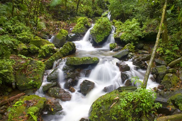 el yunque nehrin akış
