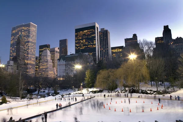 Central Park in de winter — Stockfoto