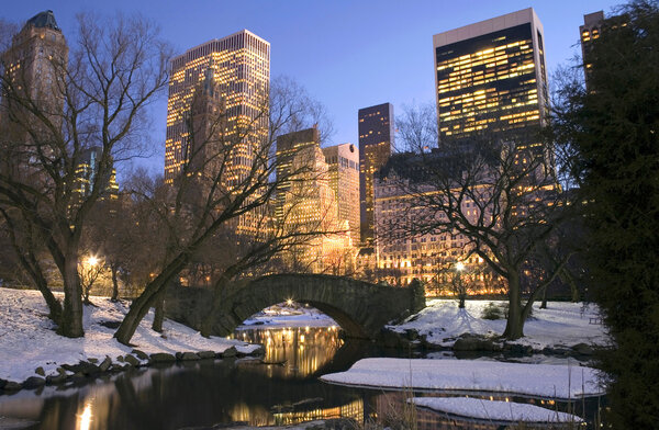 Central Park by the pond on 59th street in winter, New York City.