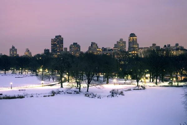 Центральный парк зимой — стоковое фото