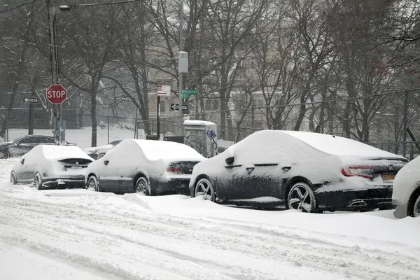 Row Snow Covered Vehicles Storm Bronx New York — Stock Photo, Image