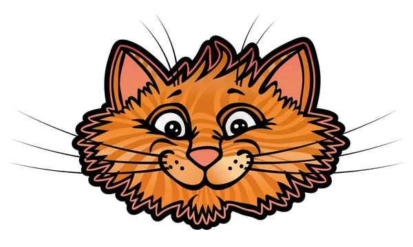 cat başkanı