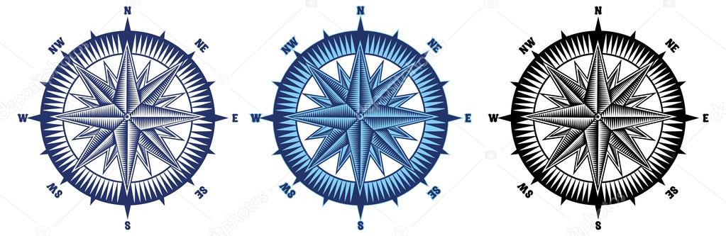 Wind rose