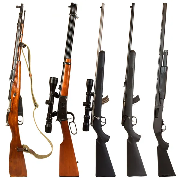Rifles Stock Obrázky