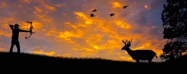 Silhouette de chasse à l'arc — Photo