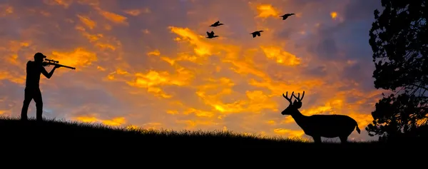 Rifle Hunting Silhouette — Stock Photo, Image