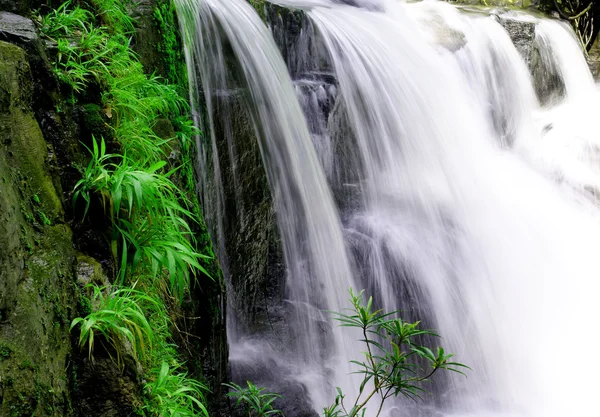 Waterfalls Nature Landscape — Stock Photo, Image