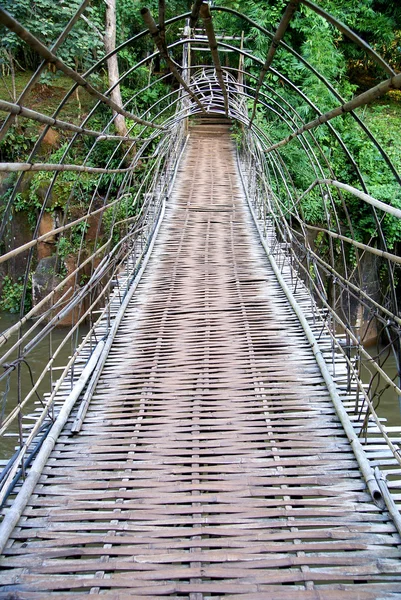 Деревянный мост в зеленой долине — стоковое фото