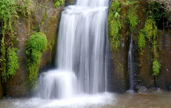 Wodospady przyroda — Zdjęcie stockowe