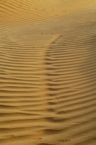 O fundo do deserto — Fotografia de Stock