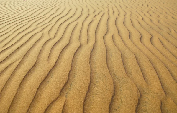 The desert background — Stock Photo, Image