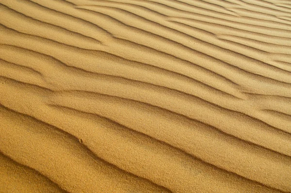 O fundo do deserto — Fotografia de Stock