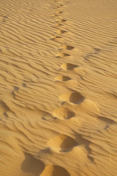 O fundo do deserto — Fotografia de Stock