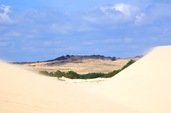 O deserto — Fotografia de Stock