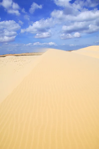 O deserto — Fotografia de Stock