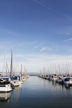 yerleşik Yelkenliler