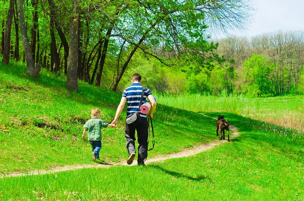 Baba ile oğlu ve ormanda yürüyüşe köpek
