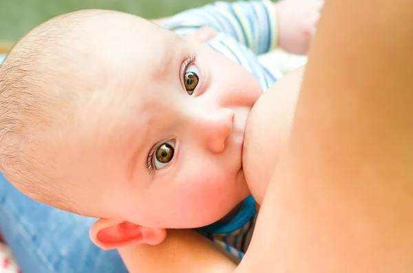 Baby is fed mother's milk looking at camera — Stock Photo, Image