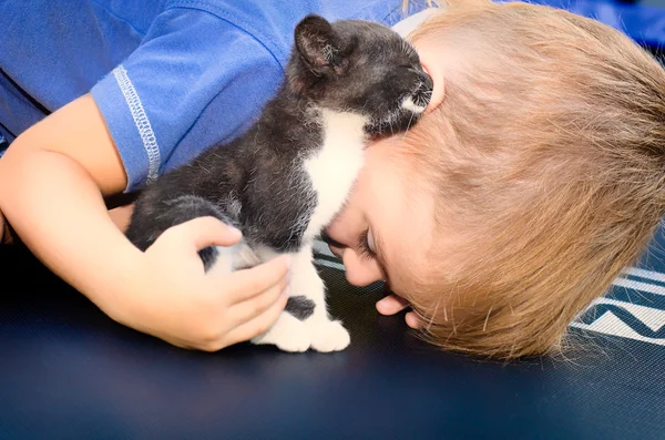 Kitty delar hemligheten med en liten pojke — Stockfoto