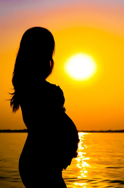 Silhouette di una donna incinta al tramonto — Foto Stock