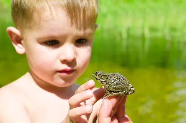 Connaissance d'un petit garçon avec une grenouille — Photo