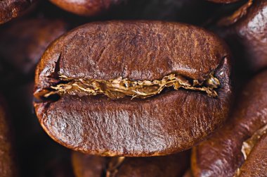 tahıl-in kahve yakın çekim