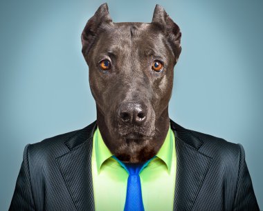 Portrait of a dog in a business suit clipart
