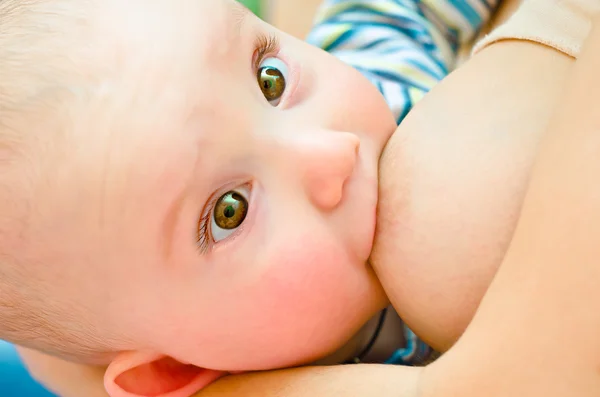 Attractive baby is fed mother's milk — Stock Photo, Image