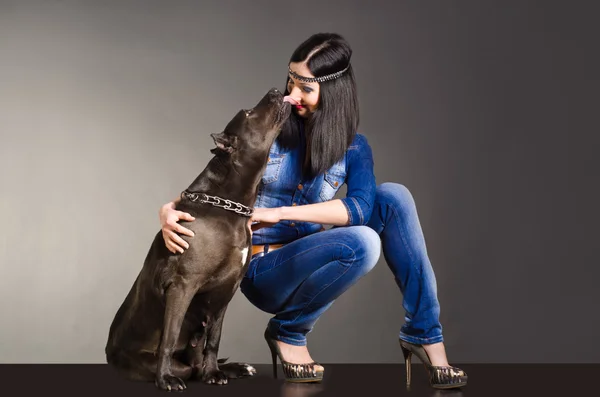Hund küsst Mädchen — Stockfoto