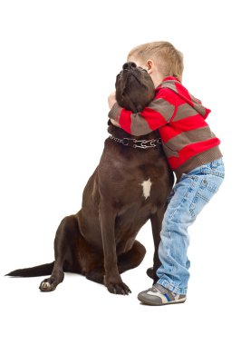 küçük bir oğlan ve köpek dostu kucaklayan