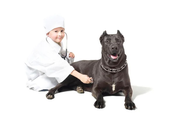 Lilla veterinär — Stockfoto