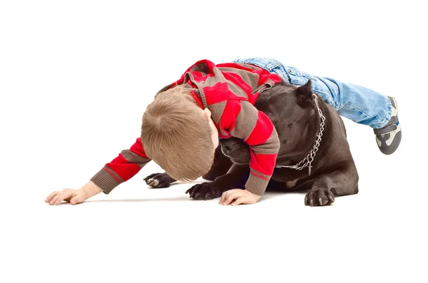 Junge spielt mit dem Hund — Stockfoto