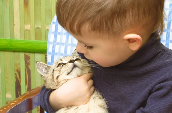 Милий хлопчик і кошеня дивиться один на одного в очі — стокове фото